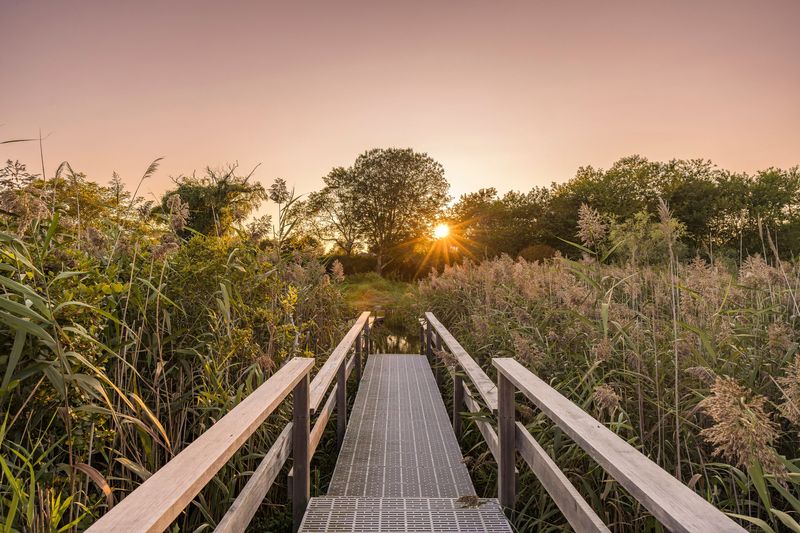 Boardwalk to Sam's Creek at 1076 Ocean Road, Bridgehampton — photo 9 of 11