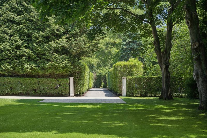 Gated driveway flanked by privacy hedges at 5 New Lane, Southampton — photo 2 of 12