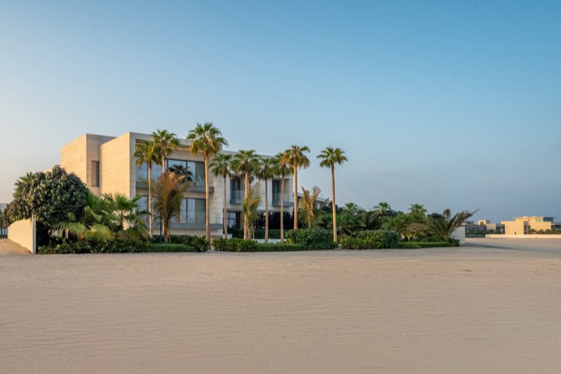 beach elevation / palms / limestone